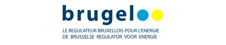 Logo de Brugel