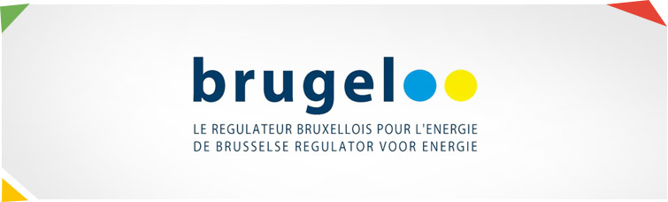 Site Internet de Le Régulateur Bruxellois pour l’énergie (BRUGEL – Bruxelles Gaz Electricité)