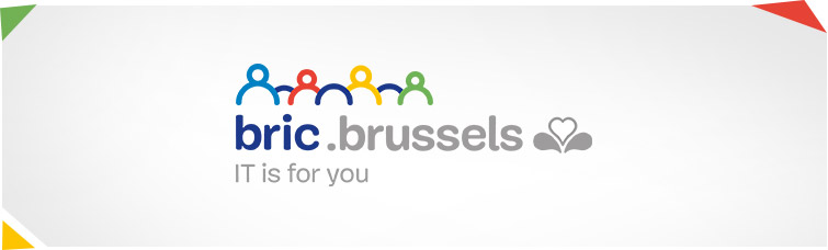 Brussels Regional Informatics Centre (BRIC) website
